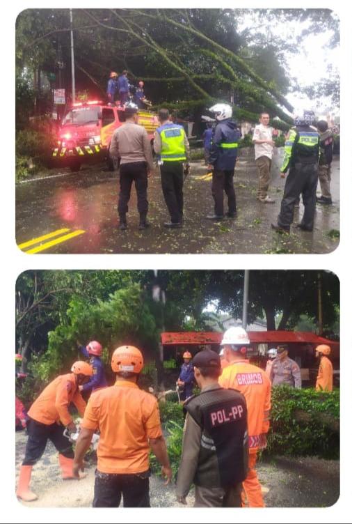 Polsek Ciawi Bersama Instansi Terkait Lakukan Evakuasi Pohon Tumbang Jalan Raya Puncak Desa Pandansari Ciawi Kabupaten Bogor
