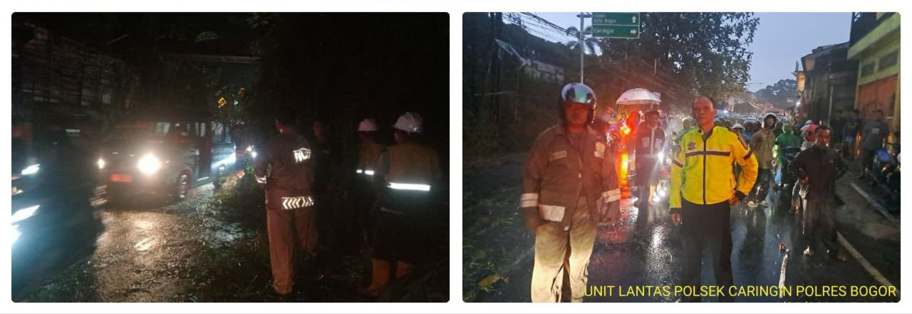 Pohon Tumbang Halangi Lalulintas Di Kecamatan  Caringin, Polsek Caringin Cepat Tanggap Turun Tangan Atas Kejadian Tersebut
