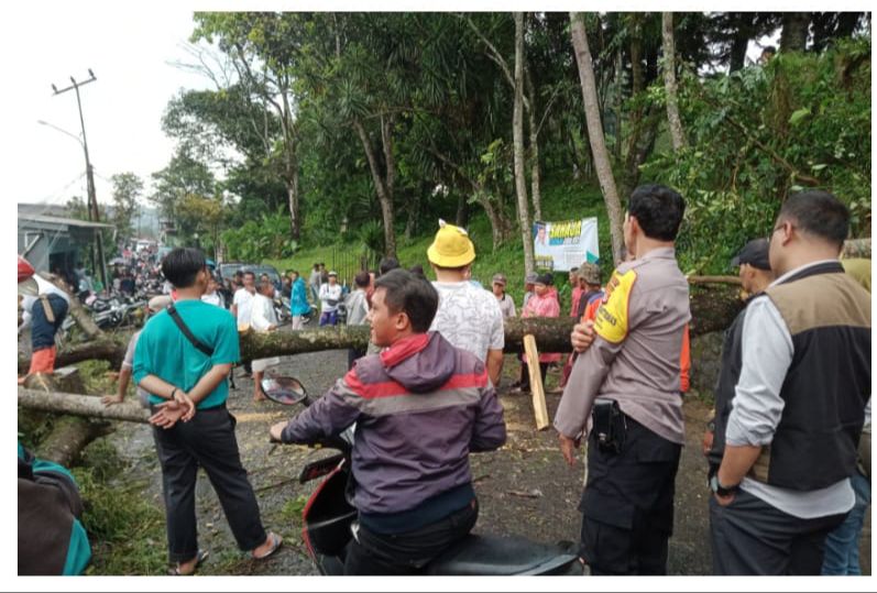 Polsek Ciawi Bersama Instansi Terkait Lakukan Pengecekan Bencana Alam Yang Terjadi di Desa Cileungsi, Kecamatan Ciawi