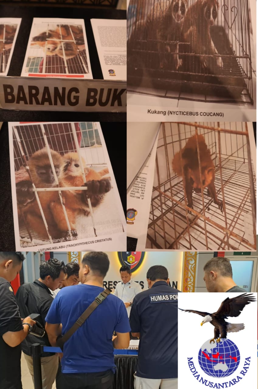 Polisi Berhasil Tangkap 2 Pelaku Perdagangan Satwa Dilindungidi Medan