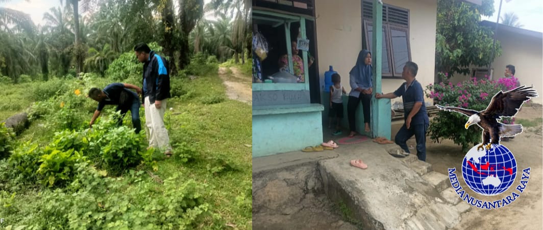 Polsek Bangun Tindak Lanjuti Laporan Peredaran Narkoba di Nagori Bangun, Pelaku Tak Ditemukan di Lokasi