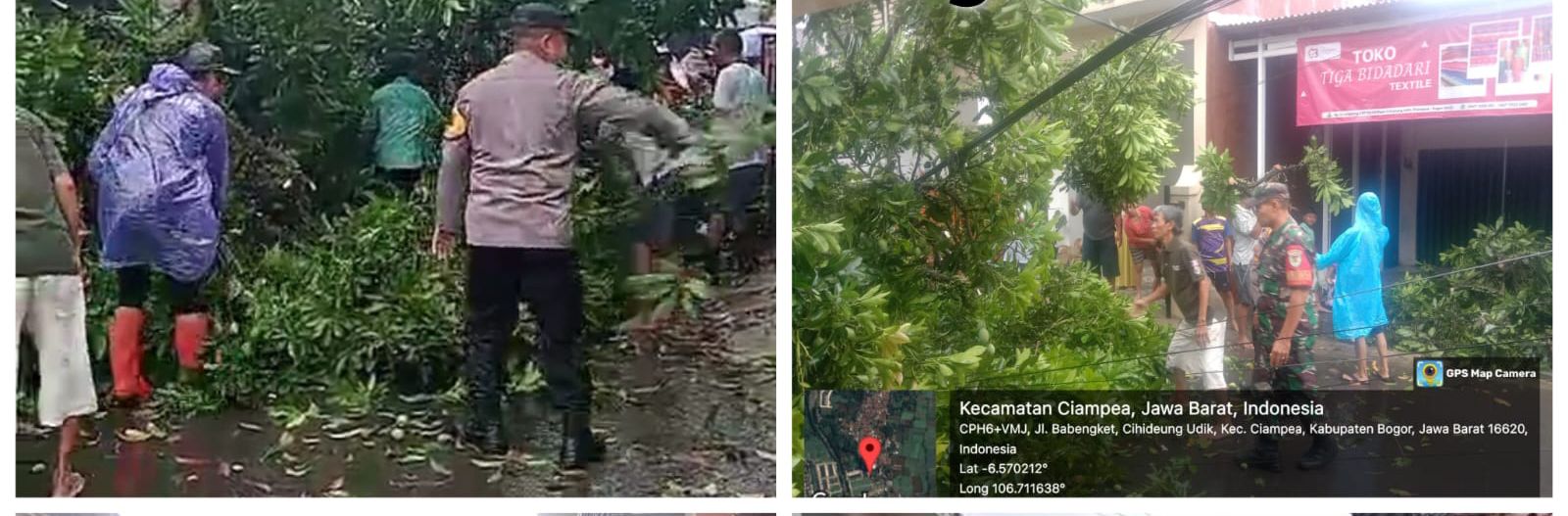 Polsek Campea Bersama Instansi Terkait Tindak Cepat Tangani Terkait Tragedi Adanya Pohon Tumbang Menutup Jalan Raya