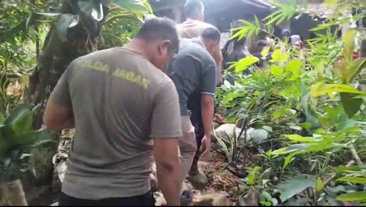 POLSEK SUKAMAKMUR MELUMPUHKAN BABI HUTAN YANG TELAH BANYAK MENELAN KORBAN DARI WARGA MASYARAKAT TERLUKA