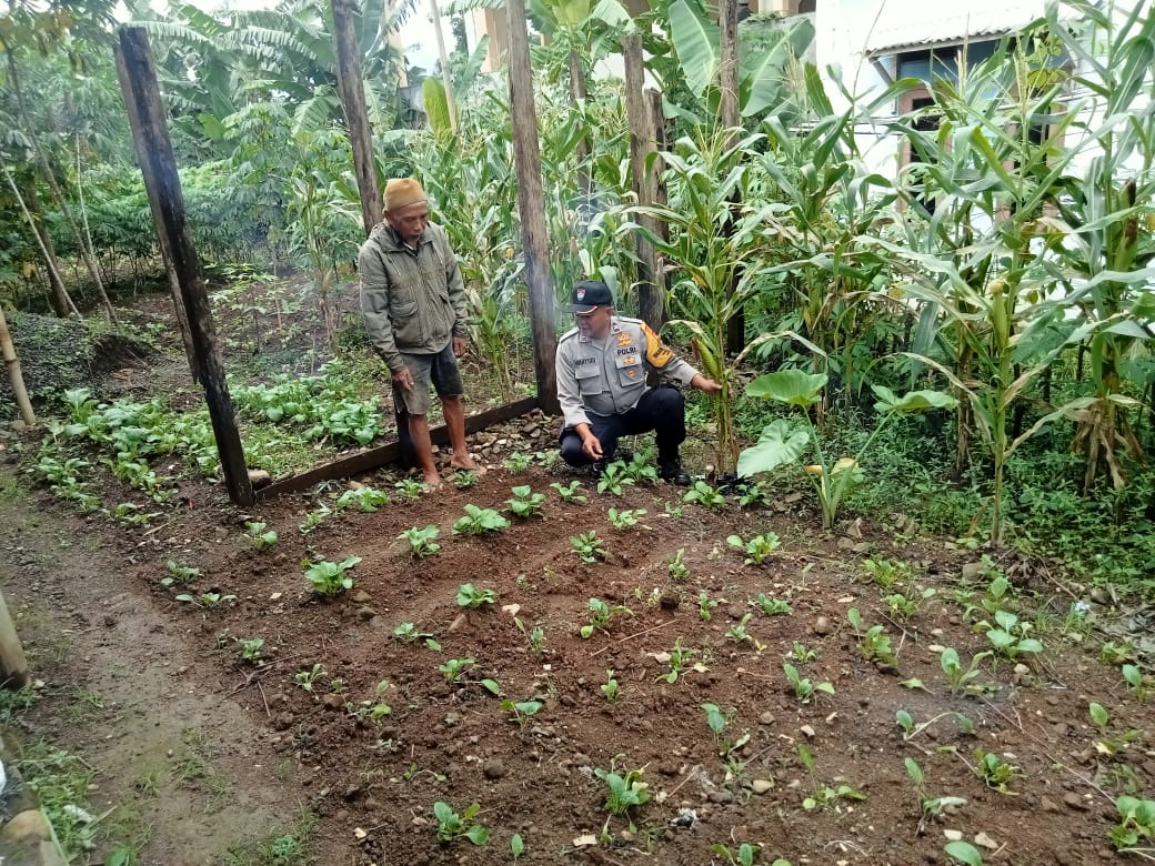 Bhabinkamtibmas Wilayah Hukum Polsek CWI Polres Bogor Giat Cooling Sistem Sebagai Penggerak Warga Dalam Ketahanan Pangan Bercocok Tanam Sebagai Wujud Pendukung Program Asta Cita Presiden Republik Indonesia