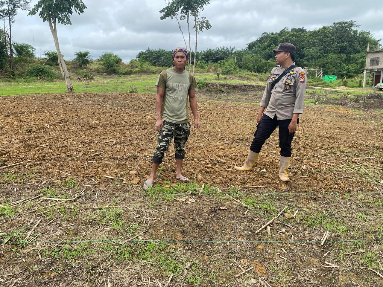 Polsek Meranti Intensifkan Cek Progres Tanamaan Jagung Hibrida