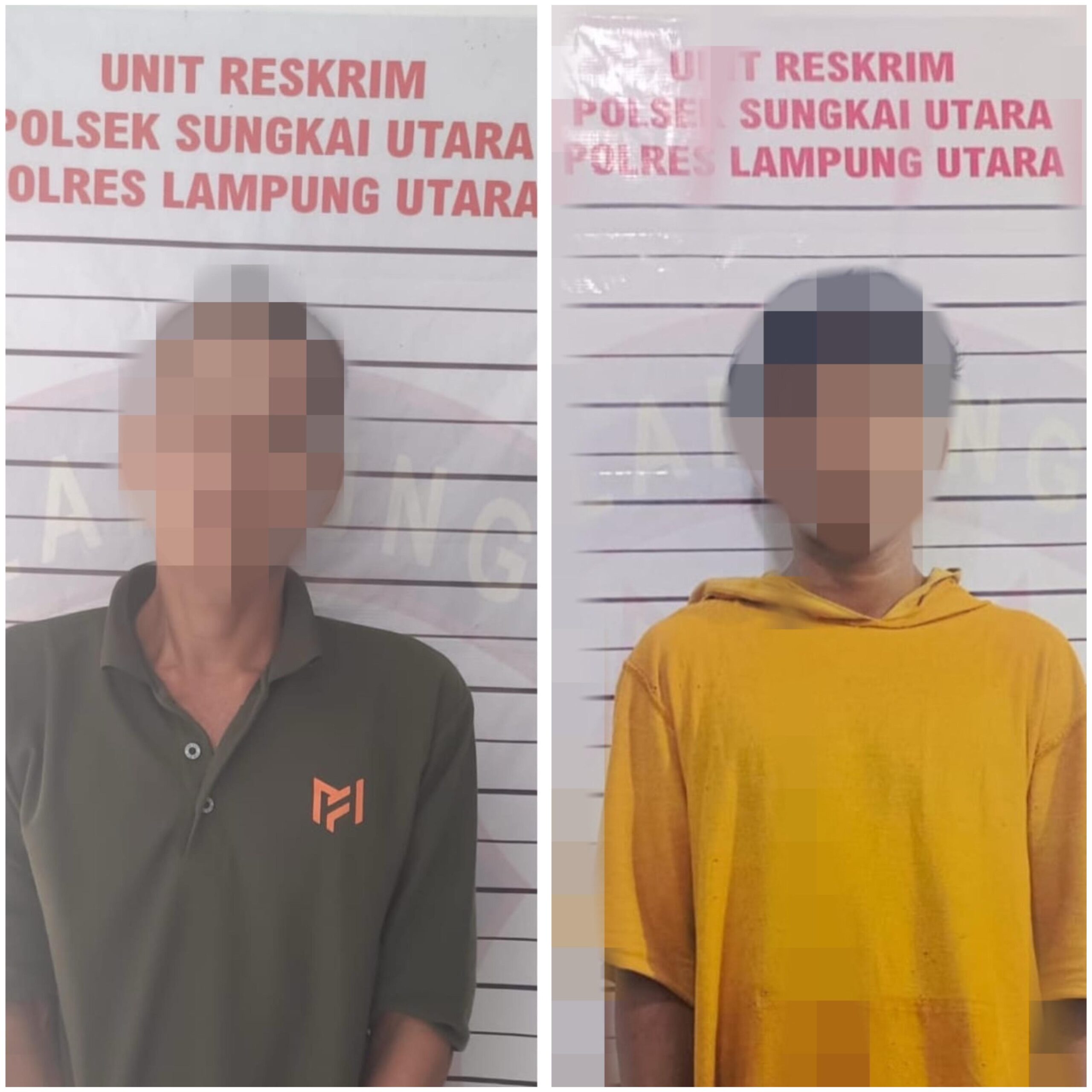 Dalam Sehari Dua Pelaku Curat Di Sungkai Utara Diamankan Polisi