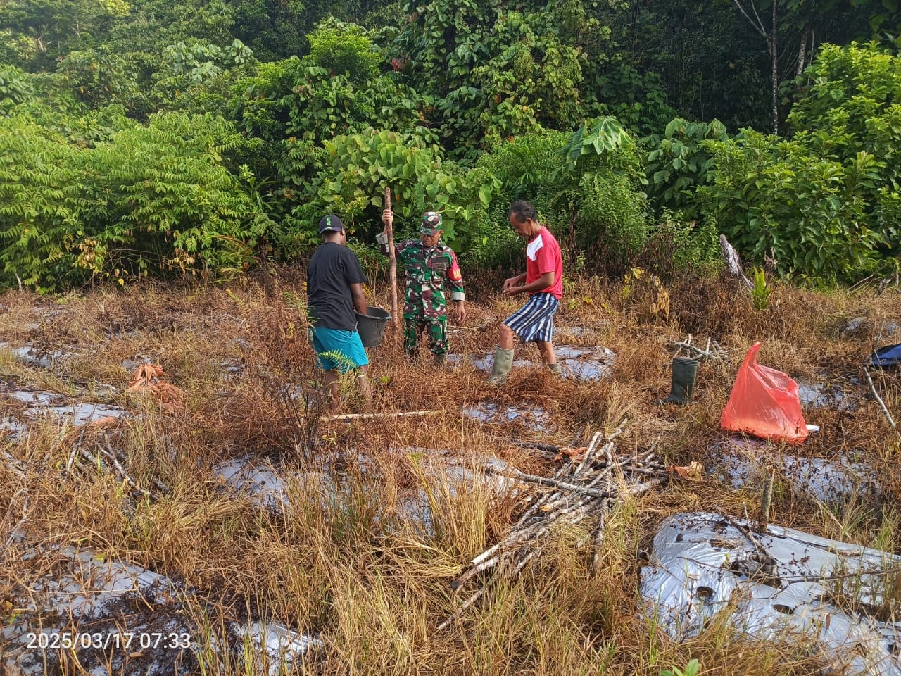 Turut meningkatkan sumber panganba binsa koramil 1705-07/Siriwo membantu membuka lahan perkebunan masyarakat 