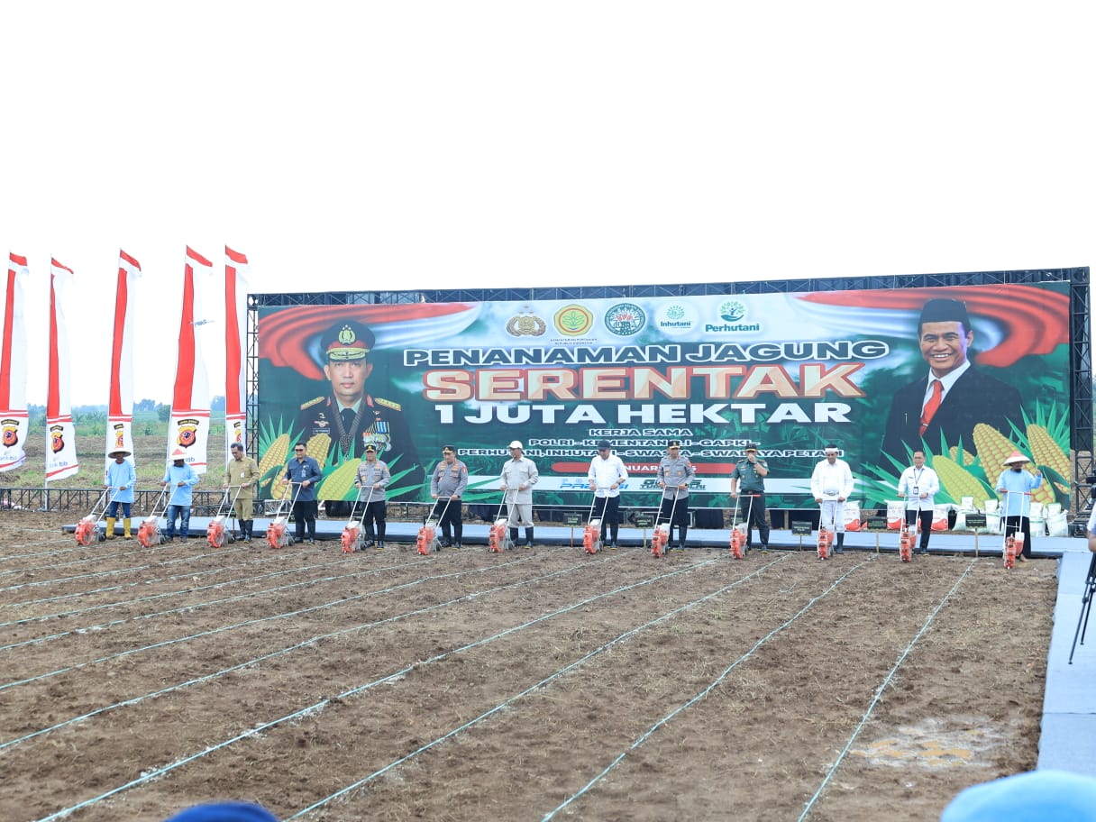 Kementan dan Polri Mantapkan Sinergi Menuju Swasembada Jagung 2025, Targetkan 4 Juta Ton Produksi Tambahan
