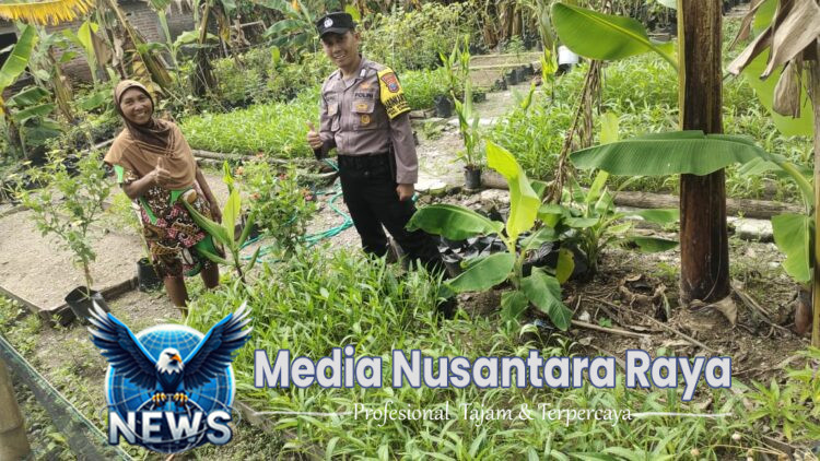 Dukung Ketahanan Pangan, Bhabinkamtibmas Polsek Lengkong Panen Kangkung dan Terong di Lahan Warga