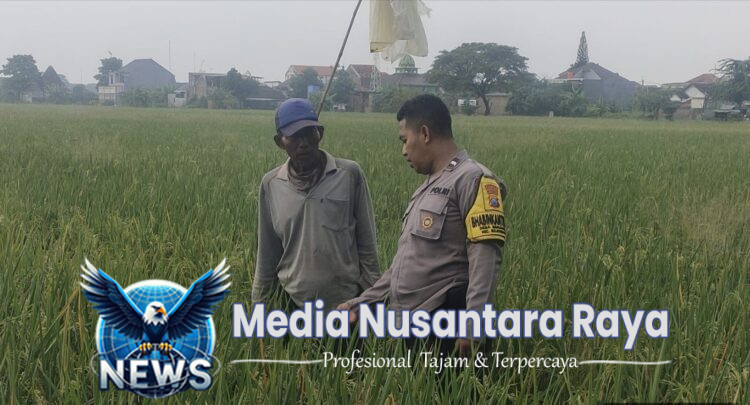 Aipda Dwi Pujoko Terjun Langsung Dampingi Petani di Desa Semanding untuk Meningkatkan Hasil Panen