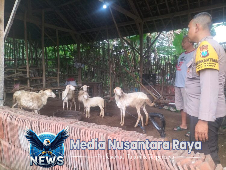 Pemantauan Ternak Dukung Ketahanan Pangan di Mabung