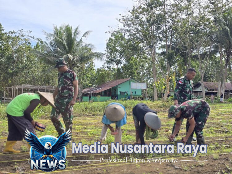 Tanah Papua Subur, Satgas 131/Brajasakti Ajak Warga Bercocok Tanam Guna Dukung Program Ketahanan Pangan Pemerintah
