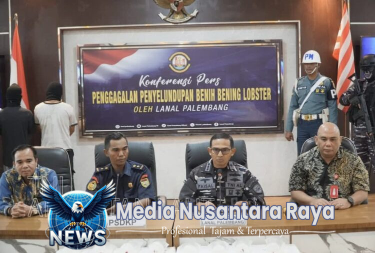 Rugikan Negara Sebesar Rp. 54 Milyar, Penyelundupan 360.000 Benih Lobster Berhasil Digagalkan TNI AL di Muara Betara Jambi