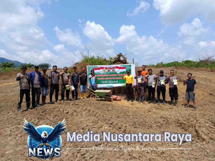 Penanaman Jagung Perdana Di Lahan Perkebunan Jagung Polri Presisi Polres Landak Rajawali Polsek Menjalin