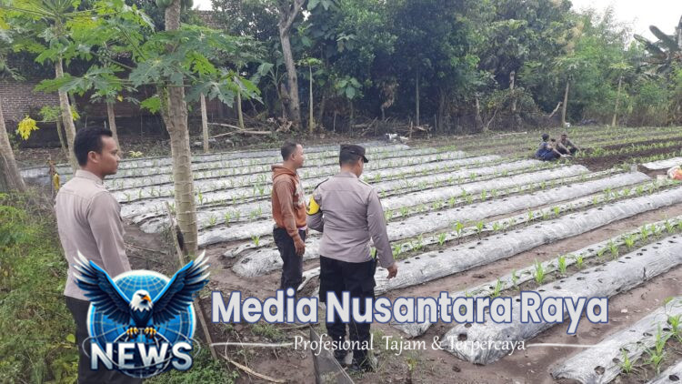 Polsek Patianrowo Dukung Ketahanan Pangan Lewat Pemanfaatan Lahan Pekarangan