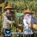 Polres Pacitan Bersama Warga Tani Panen Jagung Wujudkan Ketahanan Pangan Nasional