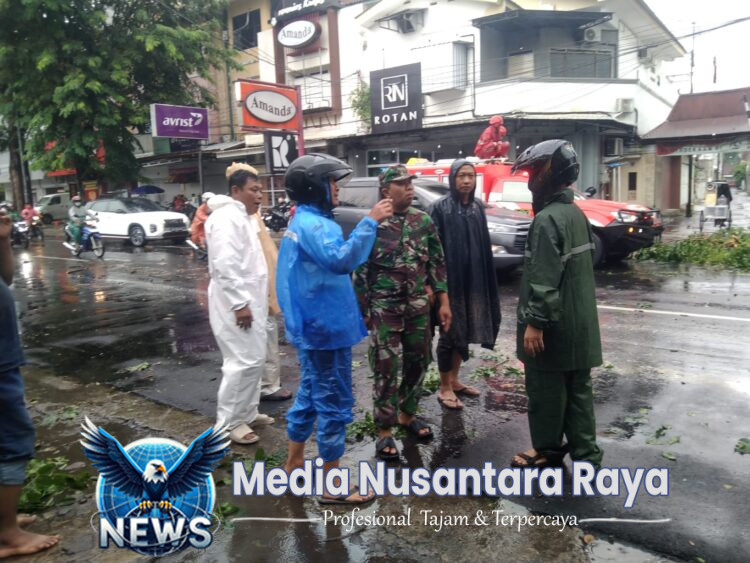 Babinsa Gerak Cepat, Bantu Evakuasi Pohon Tumbang