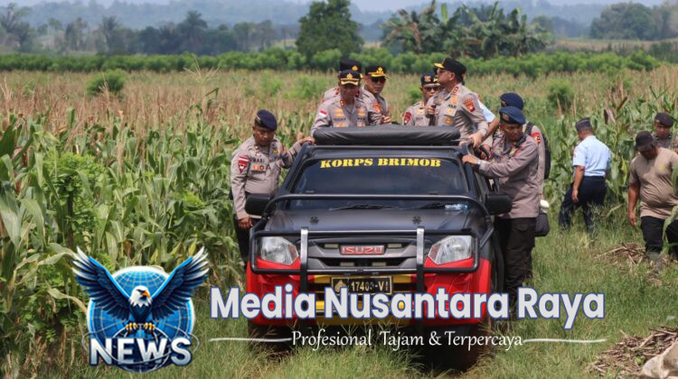 Kapolda Kalbar Tinjau Lokasi Panen Raya Jagung Serentak Tahap II dan Pabrik Pengolahan Jagung di Bengkayang