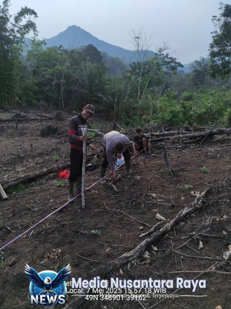 Bhabinkamtibmas Desa Pahauman Dampingi Penanaman Jagung Poktan Barage Jaya