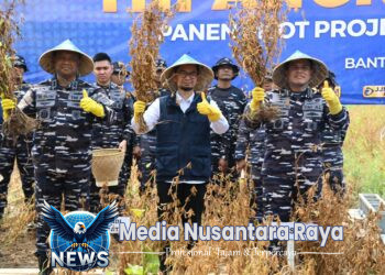 Swasembada Pangan Terus Dicanangkan TNI AL, Kasal Kunjungi Program Ketahanan Pangan di Wilayah Banten