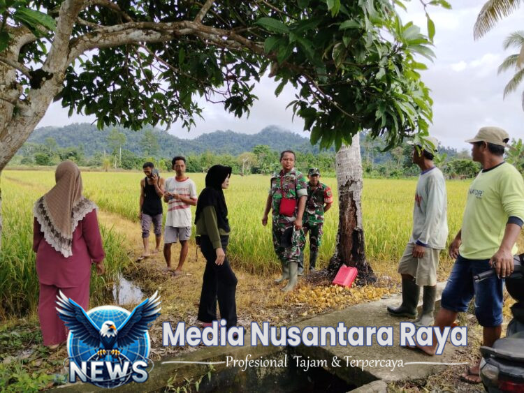 Koramil 1705-02/Napan bersama ppl distrik makimi melaksanakan anjangsana dan jalin silaturahmi ke petani padi kampung biha distrik makimi