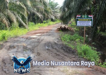 TMMD ke-124 Kodim 0320/Dumai: Pengerasan Jalan Sukamaju Semakin Intensif, TNI dan Warga Bersinergi di Hari ke-6