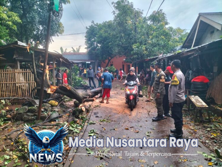 Pohon Tumbang Akibat Hujan Deras dan Angin Kencang, Polsek Cileungsi Tindak Cepat di Lokasi