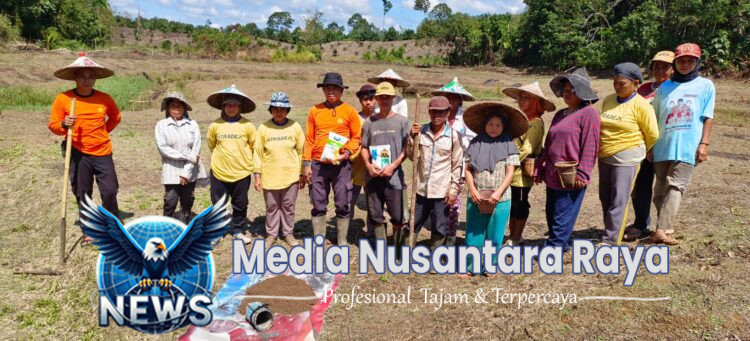 Polsek Meranti Lanjutkan Tanam Jagung di Lahan Percontohan 