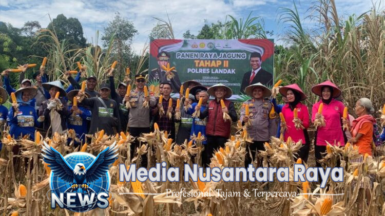 Kolaborasi Polisi dan Petani Panen Raya Jagung Tahap II di Desa Tunang