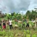 Kebersamaan TNI dan Warga, Satgas Yonif 131/Brajasakti Panen Sayur di Perbatasan Papua
