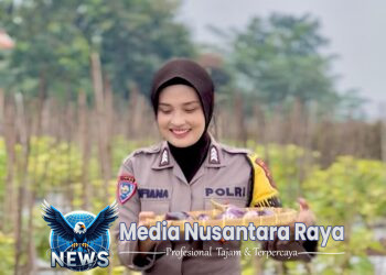 Bhabinkamtibmas Gayamdopo Ikut Aktif Panen Raya ” Terong Dukung Ketahanan Pangan Nasional