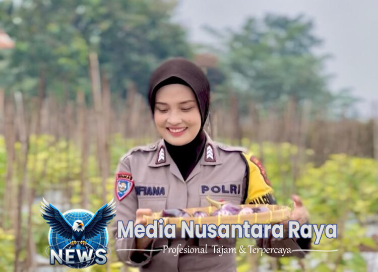 Bhabinkamtibmas Gayamdopo Ikut Aktif Panen Raya ” Terong Dukung Ketahanan Pangan Nasional