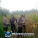 Kapolsek Mempawah Hulu cek progres pertumbuhan Tanaman jagung di Desa pahokng.