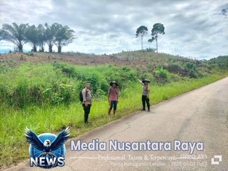 Kapolsek Air Besar Tinjau Lahan Demplot Jagung Hibrida, Dorong Ketahanan Pangan di Wilayah Pedalaman