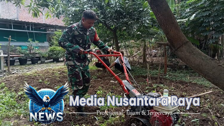 Dari Lahan Kosong Bantaran Sungai Makam Bergolo Serengan, Serda Ichsan Pelopori Barisan Ketahanan Pangan Untuk Negeri