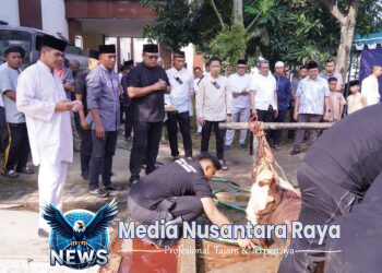 Polda Jabar Sumbangkan 77 Ekor Sapi dan 35 Ekor Kambing untuk Qurban