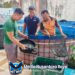 Lapas Sampit Panen Ikan Lele Sebanyak 90 Kilogram dari Program Kemandirian Warga Binaan 