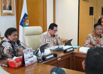 Wamendagri Ribka Genjot Percepatan Raperda RTRW, Wujudkan Program Nasional Satu Data Indonesia