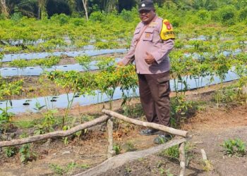 Bhabinkamtibmas Desa Bngkuang Makmur Dukung Program Asta Cita