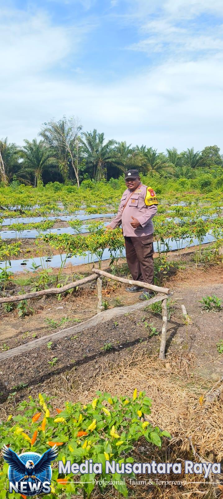 Bhabinkamtibmas Desa Bngkuang Makmur Dukung Program Asta Cita