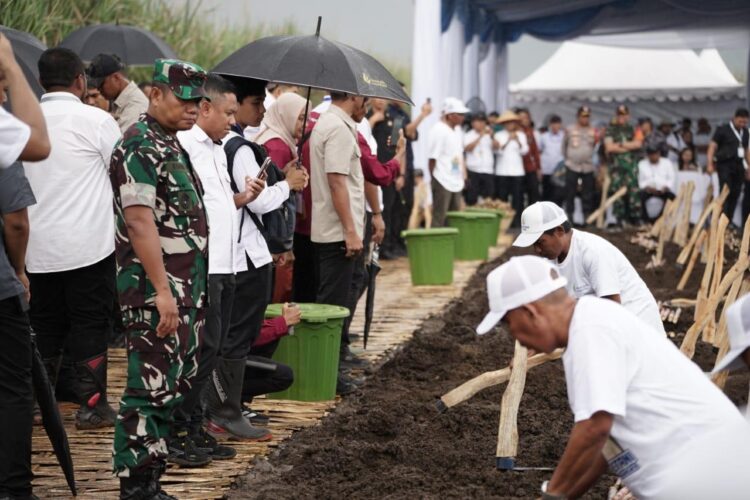Danrem 083/Bdj Dukung Ketahanan Gula Nasional di Banyuwangi