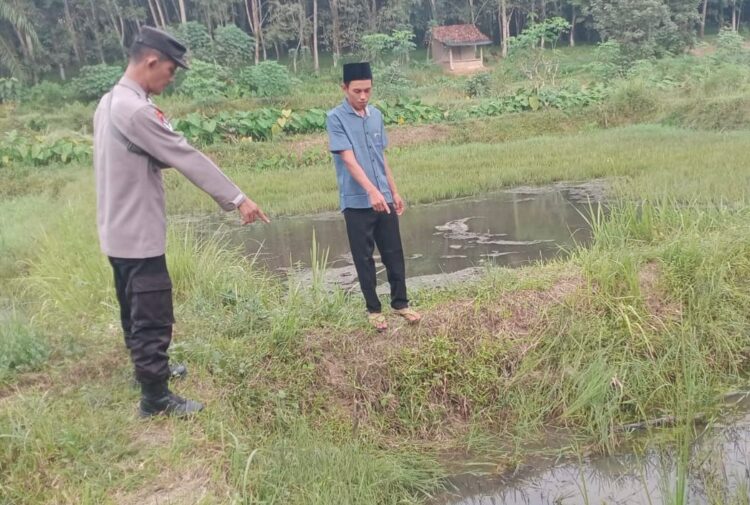 Seorang Pria Ditemukan Tewas di Kolam Ikan, Kapolsek Kalirejo : Diduga Akibat Epilepsi Kambuh