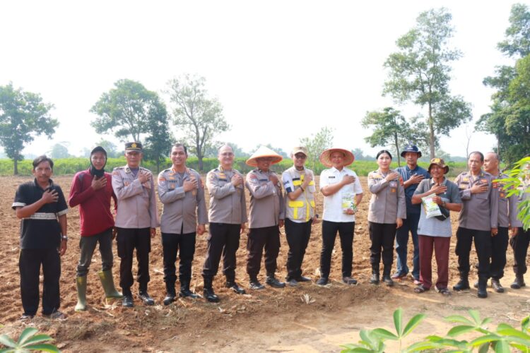 Kapolres Lampung Timur Dampingi Irwil III Itwasum Mabes Polri Tinjau Lahan Jagung Program Ketahanan Pangan