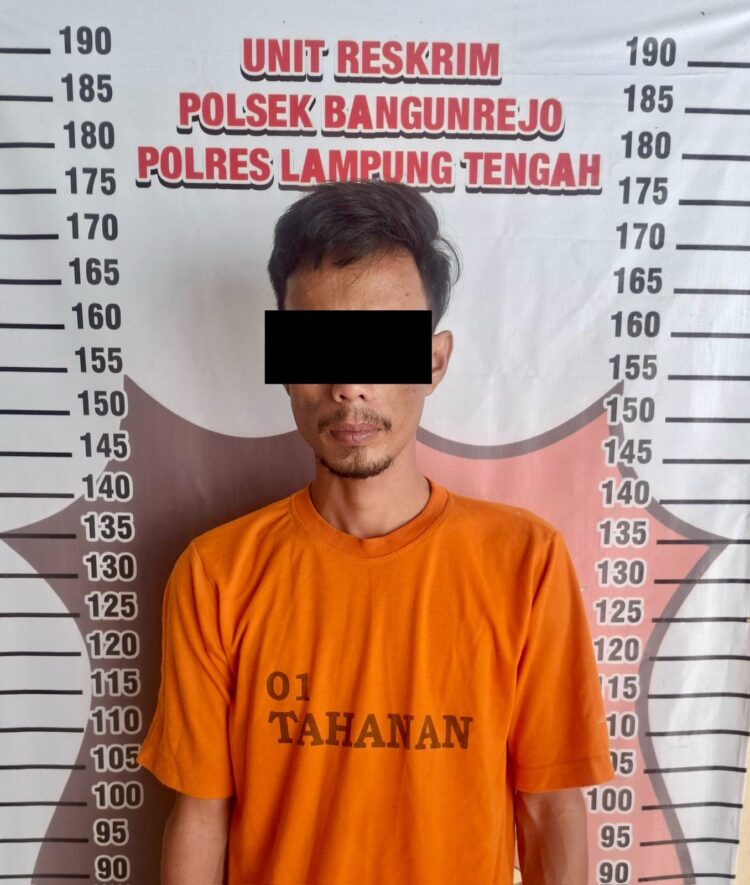 Gasak Uang Rp 50 Juta dari BRI Link, Pelaku Berhasil Diringkus Polsek Bangun Rejo 