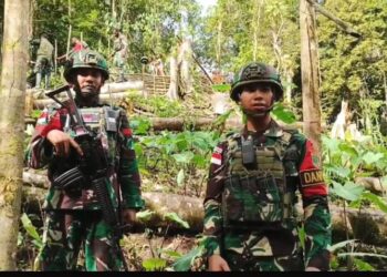 Satgas Pamtas Yonif 763/SBA Pos Afkrem Bantu Warga Buat Pagar Kebun di Kampung Afkrem