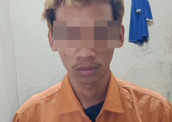 Setubuhi Anak Dibawah Umur di Kebun Karet, Pelaku Berhasil Ditangkap Tekab 308 Polsek Seputih Banyak
