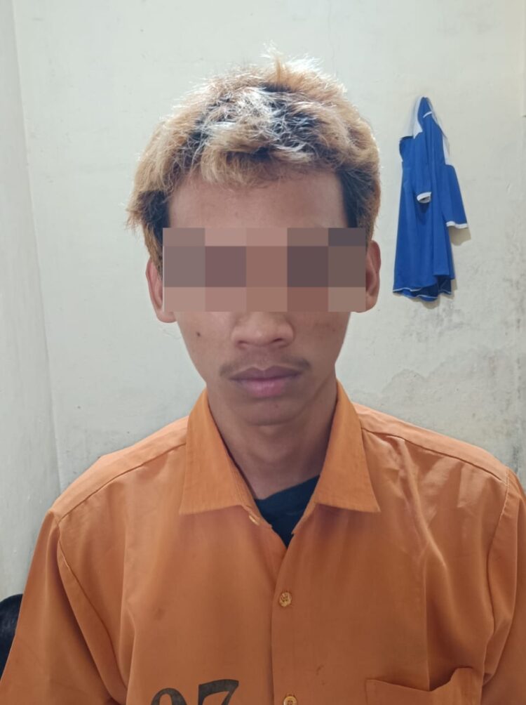 Setubuhi Anak Dibawah Umur di Kebun Karet, Pelaku Berhasil Ditangkap Tekab 308 Polsek Seputih Banyak