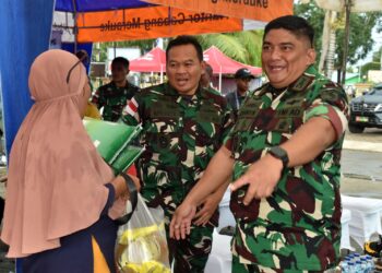 Ketahanan Pangan Adalah Pertahanan Negara TNI Dan Bulog Buktikan Di Merauke