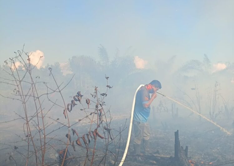 BPBD Kotim Padamkan Kebakaran Lahan di Baamang Hulu