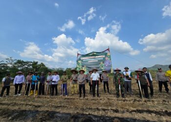 Dukung Ketahanan Pangan Nasional, Polres Bogor Tanam Jagung ke-3 di Lahan Baku Sawah Desa Sirnasari